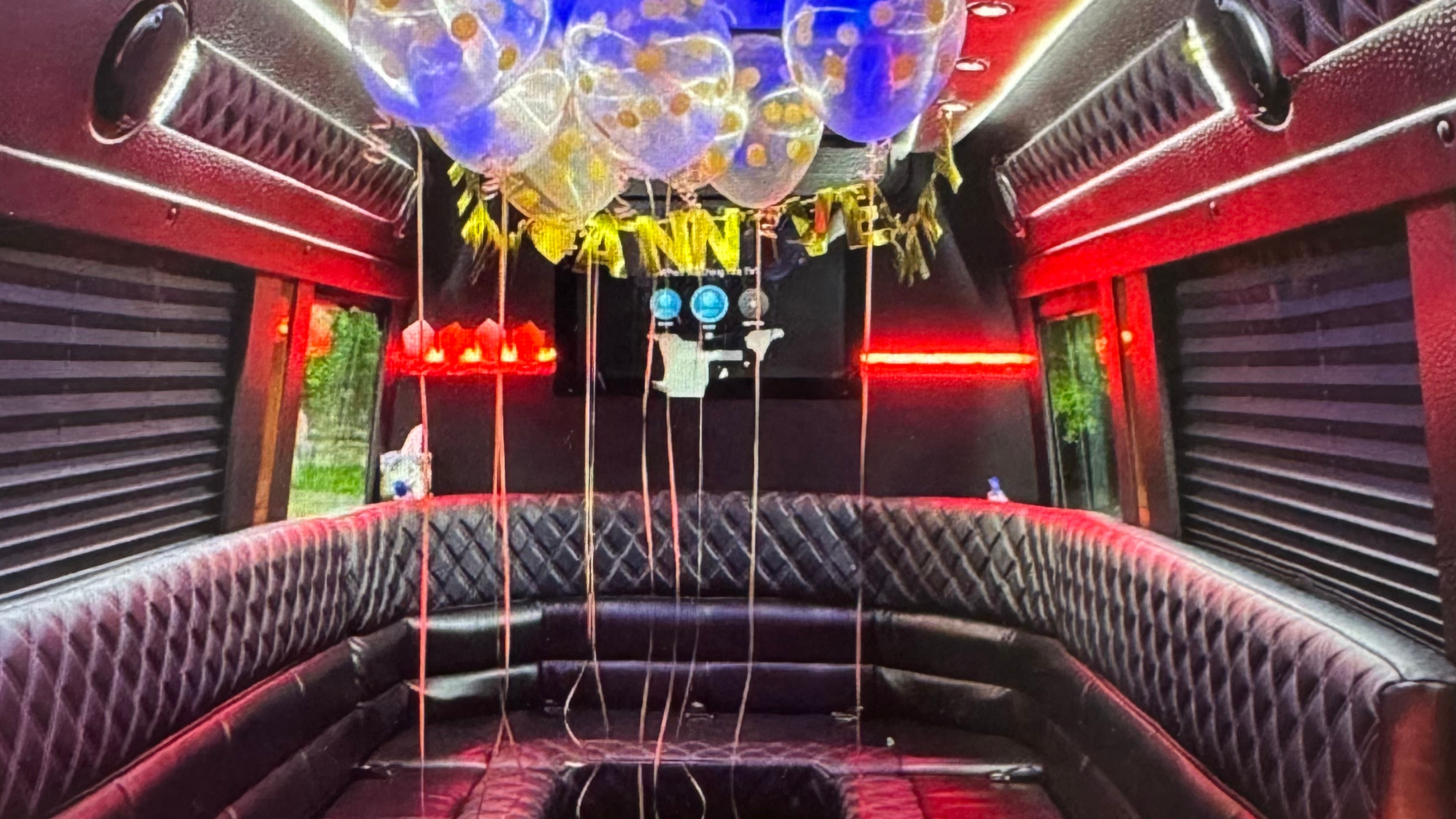 Luxury Party Buses in Tampa-St Petersburg-Clearwater- Palm Harbor