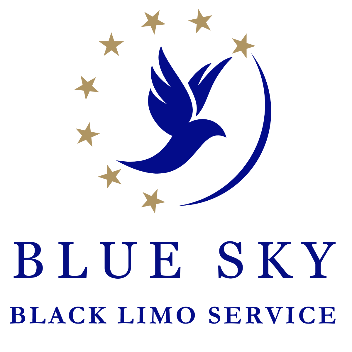 Blue Sky Black Limo Service Tampa